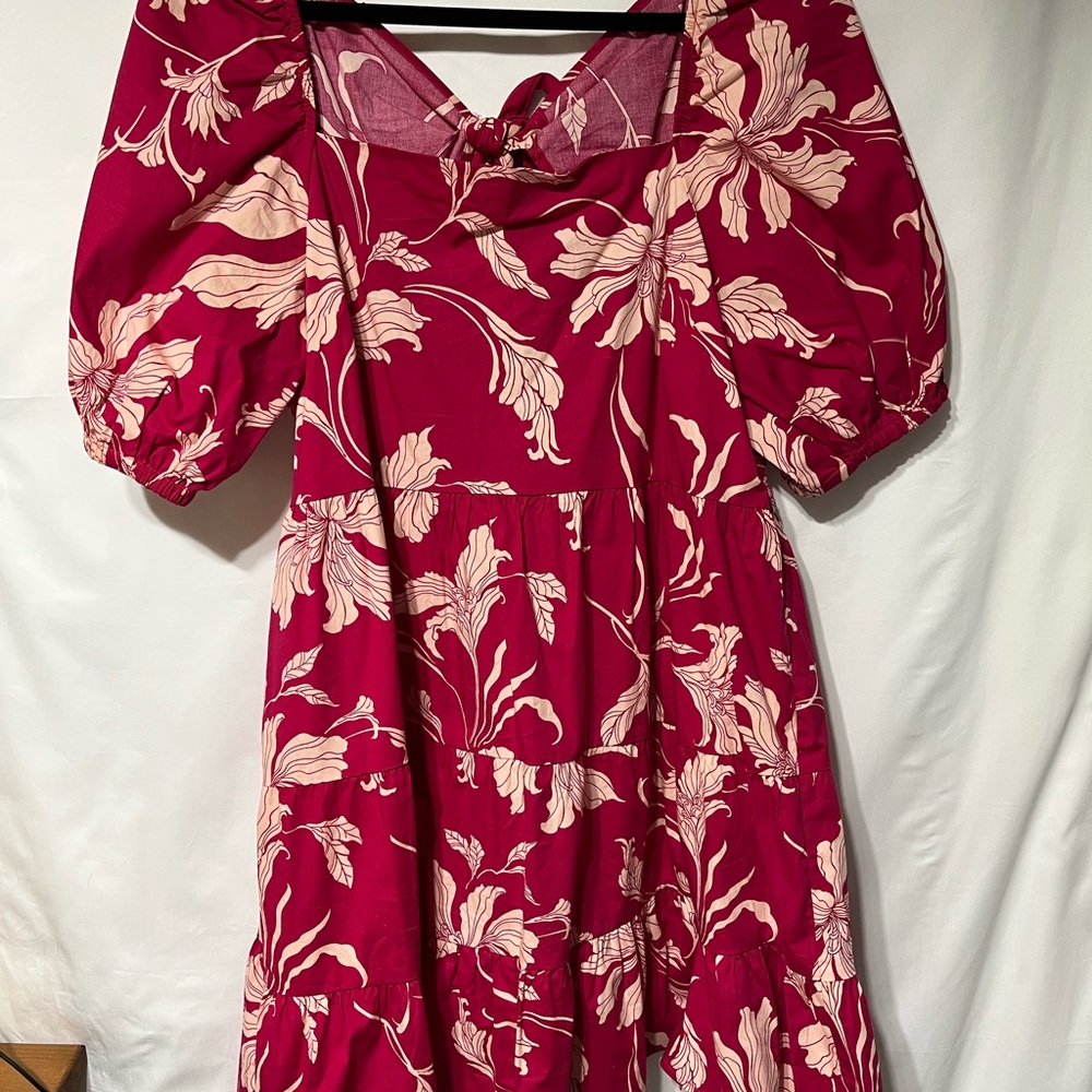 Express Burgundy‎ and Cream Floral Long Sleeve Dress